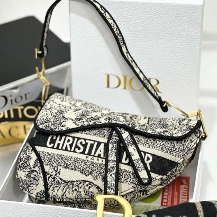 19 Dior Saddle Black Toile de Jouy